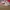 Nike Streetwear Casual Sneakers Kids white red photo 3