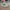 Nike Streetwear Casual Sneakers Kids white green photo 3