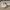 Adidas Streetwear Casual Sneakers Kids tan blue photo 2