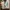 Adidas Streetwear Casual Sneakers Kids tan blue photo 7