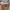 Adidas Streetwear Casual Sneakers Kids tan blue photo 1
