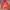 MLB Casual Bomber jacket Pria red photo 1