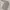 Vintage Casual Summer dress Wanita white green photo 4