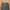 Good Day Streetwear Gorpcore Tracksuit Pria black photo 5