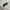 Bershka Streetwear Casual Sweatpants & Joggers Wanita white photo 5