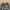 Streetwear Gorpcore Tracksuit Pria green photo 6