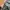 Streetwear Gorpcore Tracksuit Pria green photo 4