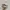 New Balance Sportswear Sneakers Pria khaki photo 1