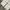 Uniqlo Vintage Streetwear Jeans Pria cream photo 7