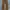 Vintage Streetwear Jeans Pria brown photo 2