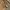 Fjällräven Casual Blazer Pria tan photo 5