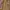 Fjällräven Casual Blazer Pria tan photo 3