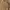 Fjällräven Casual Blazer Pria tan photo 2