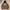 Adidas Streetwear Hoody Pria multicolor photo 3