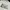 Supreme Streetwear Casual T-shirt Pria white photo 3