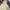 Streetwear Y2K Hoody Pria multicolor photo 5