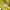 Supreme Casual T-shirt Pria yellow photo 7