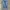 Levi's Casual Jeans Pria multicolor photo 1