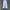 Le Coq Sportif Streetwear Sportswear Tracksuit Pria white photo 1