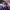 Ikea Sportswear Hoody Wanita purple photo 4