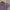 Oakley Streetwear Y2K T-shirt Pria purple photo 2