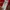 Adidas Casual Reworked Leather jacket Kids red photo 6