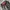 Gorpcore Sportswear Sweatpants & Joggers Wanita pink black photo 3