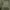 Japanese brand Streetwear Y2K Casual pants Pria green khaki photo 3