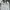 Von Dutch Streetwear Casual Casual shirt Pria white photo 3