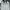 Von Dutch Streetwear Casual Casual shirt Pria white photo 4