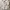 Casual Hoody Wanita white photo 1
