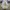 Nike Vintage Streetwear Casual shoe Pria white photo 2