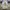 Nike Vintage Streetwear Casual Shoe Pria White