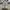 Nike Vintage Streetwear Casual shoe Pria white photo 1