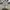 Nike Vintage Streetwear Casual Shoe Pria White