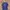 Oakley Vintage Streetwear T-shirt Pria navy photo 2