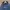 Oakley Vintage Streetwear Hoody Pria navy photo 1