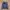 Oakley Vintage Streetwear Hoody Pria navy photo 3