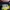Nike Streetwear Casual Sneakers Wanita navy yellow photo 6