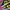 Nike Streetwear Casual Sneakers Wanita navy yellow photo 2