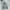 Russell Athletic Sportswear Casual Sweatshirt Pria gray photo 1
