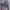 MLB Sportswear Casual Sweatshirt Pria gray photo 3