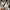 Adidas Casual Casual shoe Pria white cream photo 3