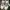 Adidas Casual Casual shoe Pria white cream photo 4