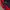 Dickies Streetwear Y2K Bag Pria red photo 6