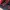 Dickies Streetwear Y2K Bag Pria red photo 4