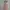 Fairy Prom dress Wanita pink photo 4