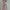 Fairy Prom dress Wanita pink photo 3