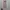 Fairy Evening dress Wanita pink photo 2