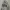 Made in USA Y2K Pea coat Pria white photo 1
